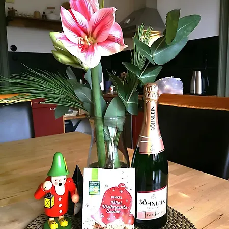 Oberfoersterei Sosa I Eibenstock