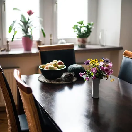 Oberfoersterei Sosa I Eibenstock