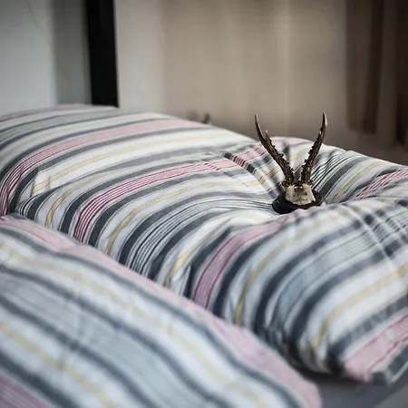 Oberfoersterei Sosa I Lägenhet Eibenstock