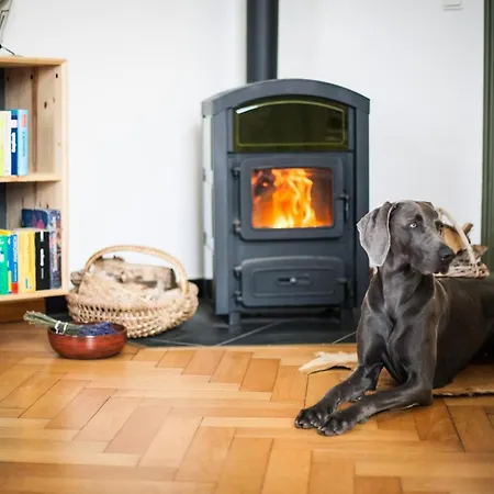 Oberfoersterei Sosa I Eibenstock